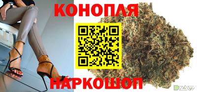 стафф Лесосибирск