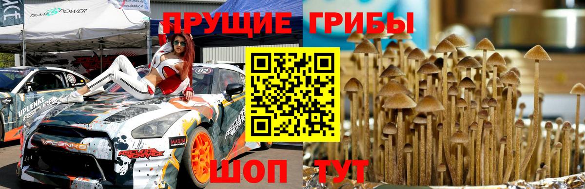 Галлюциногенные грибы мухоморы Барабинск